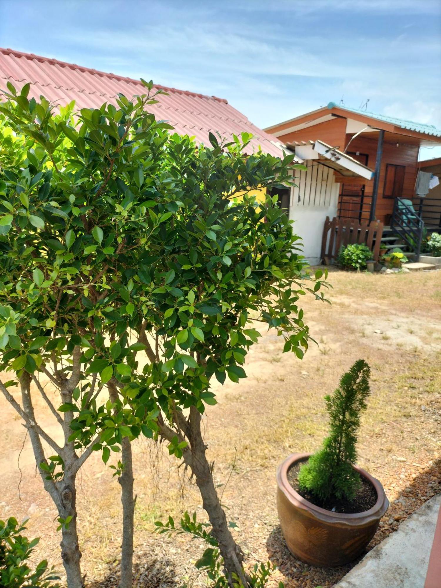 Lanta Rabbit Rooms Koh Lanta Ngoại thất bức ảnh